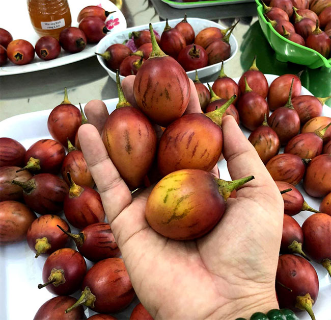 Picture 6 of Strange tomatoes: Passion like passion fruit, pineapple pineapple