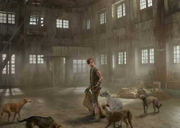 Picture 7 of Strange tragedy of children living with wild animals