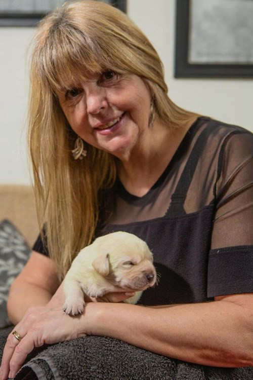 Picture 6 of Strangely the dog was born with incredible blue fur