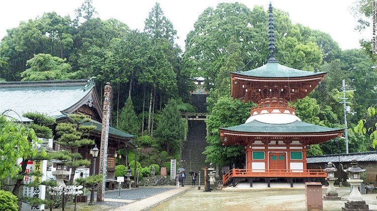 Picture 1 of Strangely the temple adores the unique oriental breast milk