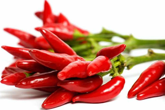 Picture 1 of Study chili to find a way to treat migraine