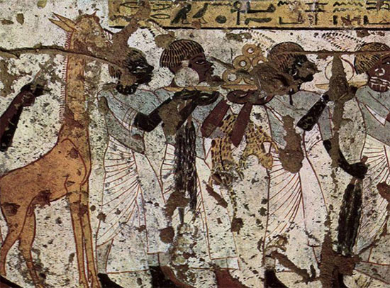 Picture 1 of Study ecosystem from ancient Egyptian paintings