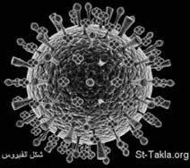 Picture 1 of Study of the victims of the H1N1 virus