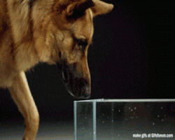 Picture 18 of Stunned by the decoded scientific phenomena