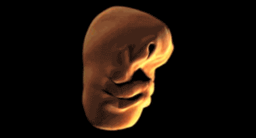 Picture 2 of Stunned by the decoded scientific phenomena
