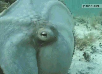 Picture 25 of Stunned by the decoded scientific phenomena