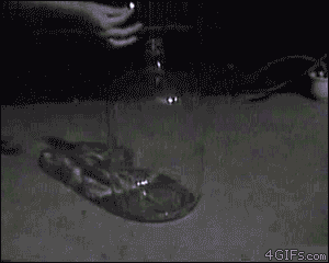 Picture 5 of Stunned by the decoded scientific phenomena