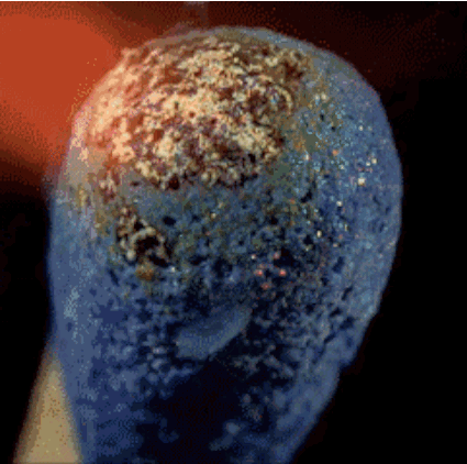 Picture 7 of Stunned by the decoded scientific phenomena