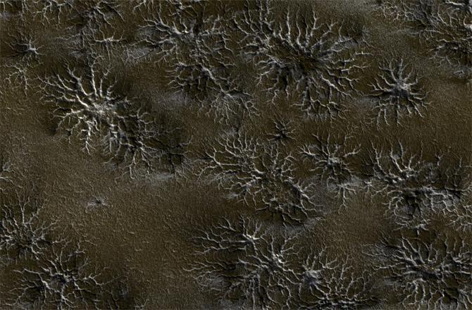 Picture 2 of Stunned to find giant spiders on Mars?