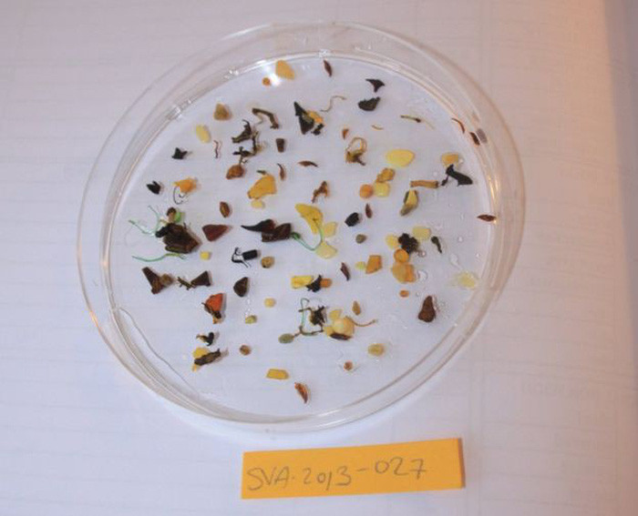 Picture 2 of Stunned when 1 liter of Arctic ice contains 234 pieces of trash