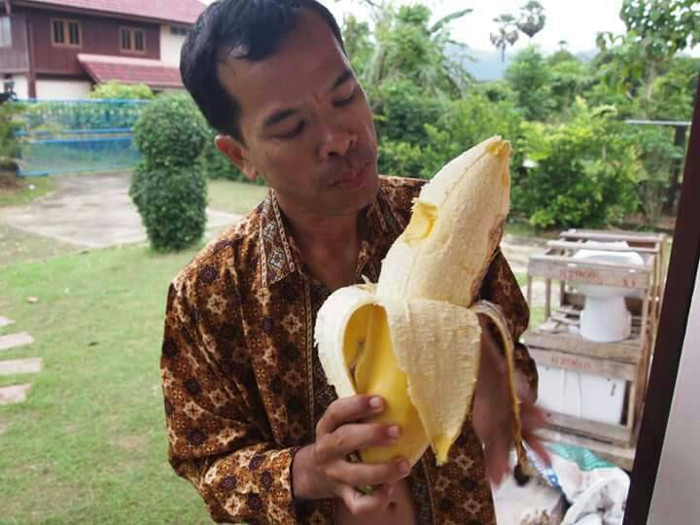 Picture 2 of Stunned with extremely rare giant banana varieties