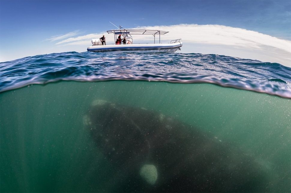 Picture 1 of Stunning images taken between the two worlds