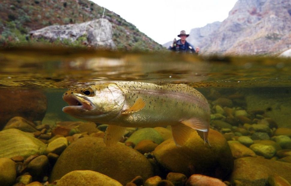 Picture 13 of Stunning images taken between the two worlds