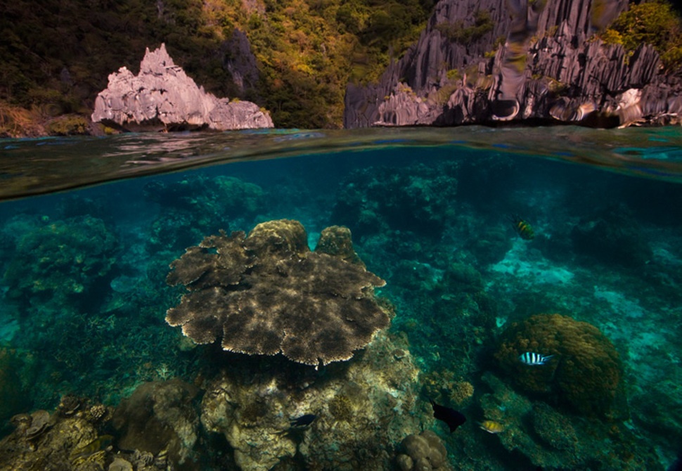 Picture 16 of Stunning images taken between the two worlds
