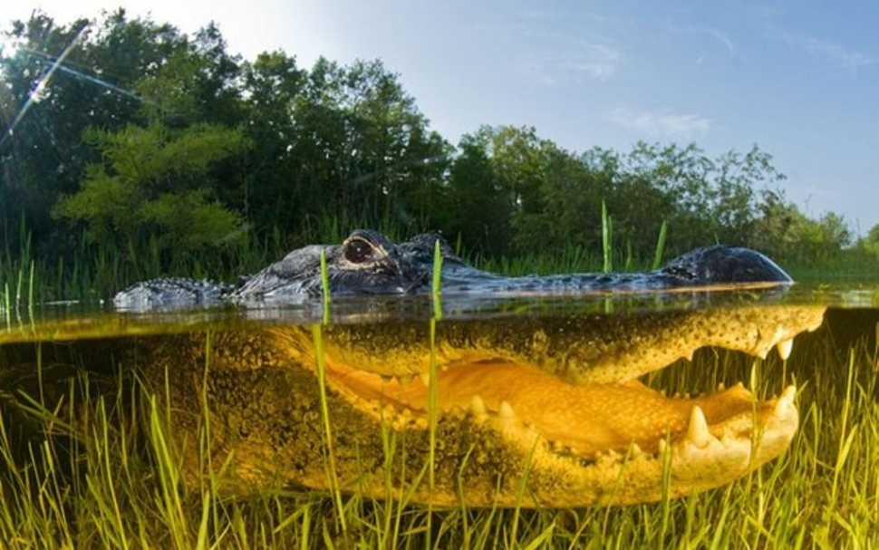 Picture 17 of Stunning images taken between the two worlds