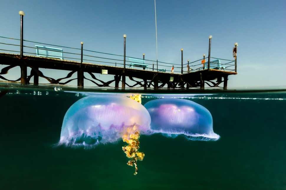 Picture 7 of Stunning images taken between the two worlds