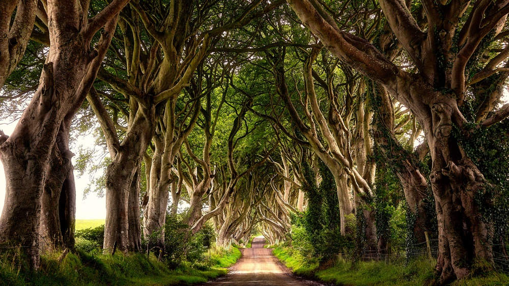 Picture 4 of Stunning little-known destinations