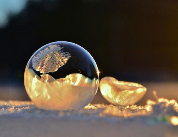 Picture 1 of Stunning photos at minus 9 degrees Celsius