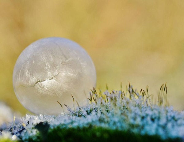 Picture 4 of Stunning photos at minus 9 degrees Celsius