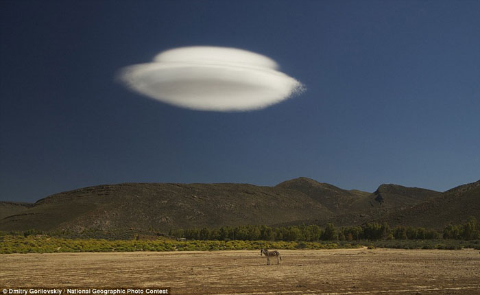 Stunning photos in National Geographic competition images 10
