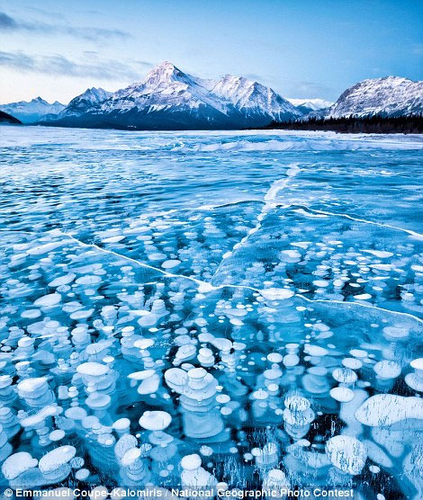 Stunning photos in National Geographic competition images 9