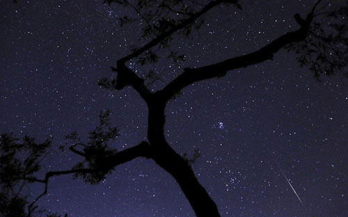 Picture 4 of Stunning photos of Perseids meteor shower 2013