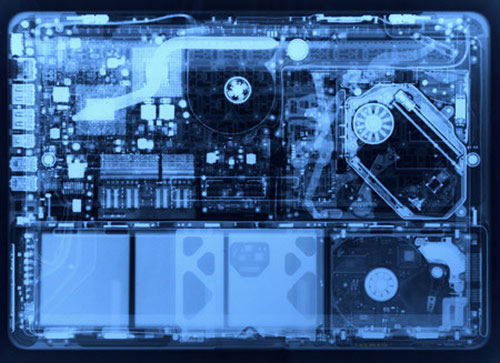 Picture 4 of Stunning photos taken with X-rays