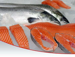 Picture 1 of Substance in fish oil restricts cancer tumors