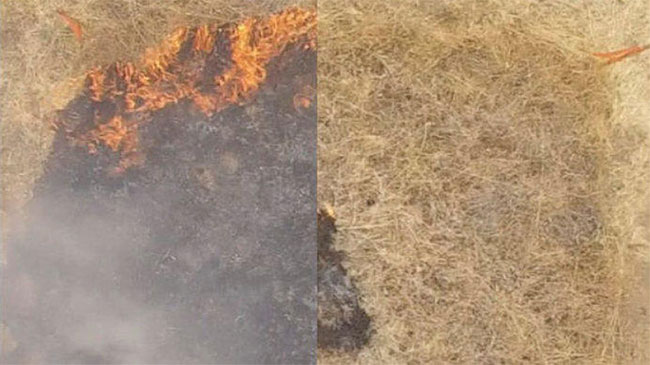 Picture 1 of Successful fabrication of the gel can prevent forest fires
