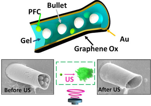 Picture 2 of Successful manufacture of micro-cannons can fire drugs into diseased tissue
