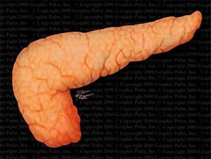 Picture 2 of Successful trial treatment of diabetes