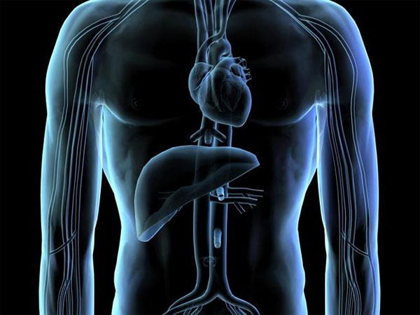 Picture 1 of Successfully attached micro sensor to heart tissue