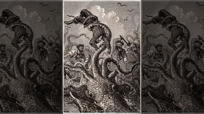 Picture 2 of Successfully decode the genome of the mysterious giant squid
