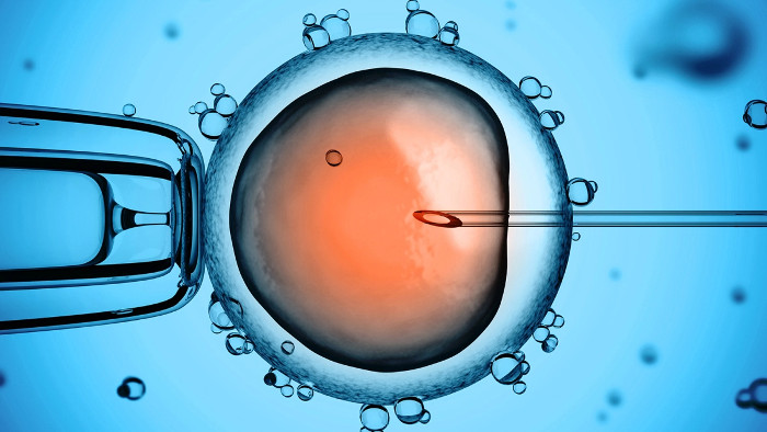 Picture 2 of Successfully developed artificial sperms that have good fertilization such as 'real things' by stem cells