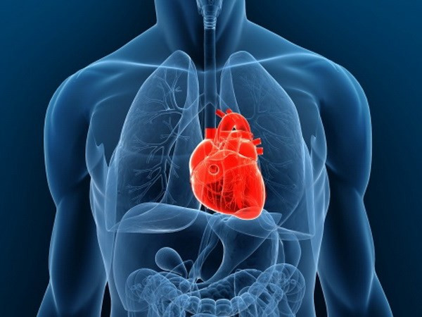 Successfully developed human heart from stem cells, beating as usual