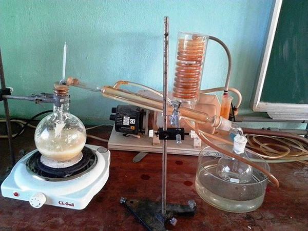 Picture 2 of Successfully extracted garlic oil into capsule form