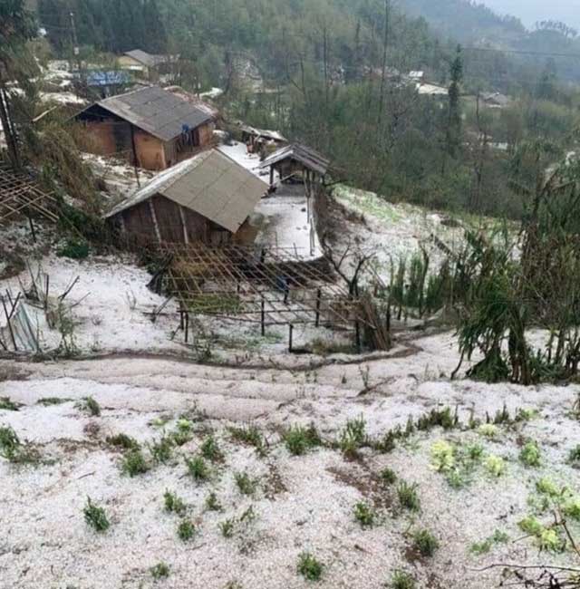 Picture 8 of Sudden hail covered the road, hillsides in Lai Chau