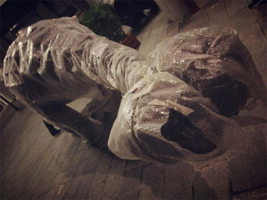 Picture 5 of Suddenly appeared a giant