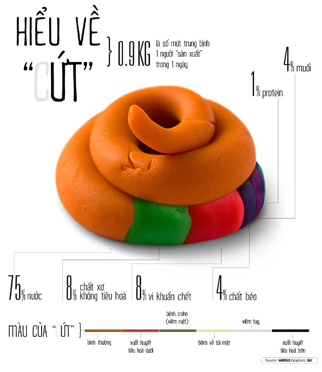 Summary of interesting facts you may not know yet! images 1