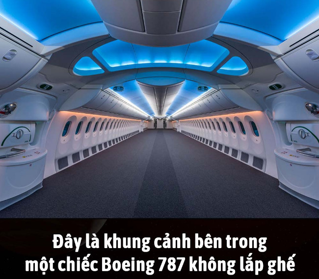 Summary of interesting facts you may not know yet! images 14
