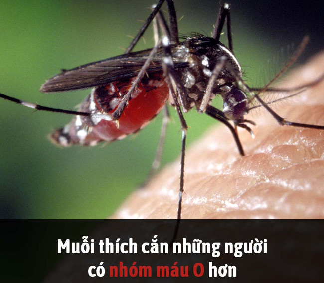 Summary of interesting facts you may not know yet! images 17