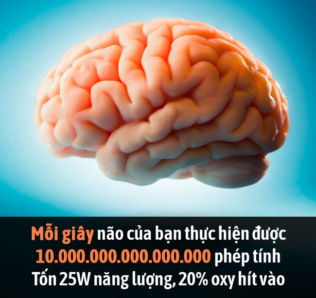 Summary of interesting facts you may not know yet! images 18