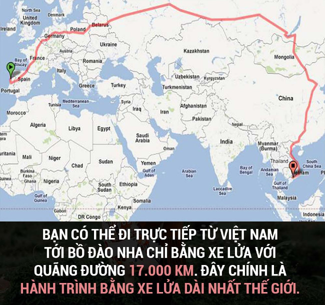Summary of interesting facts you may not know yet! images 29
