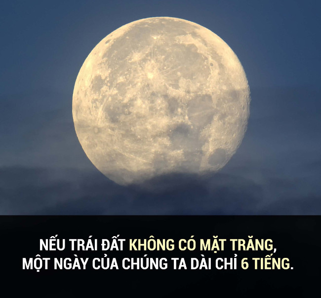 Summary of interesting facts you may not know yet! images 36