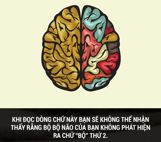 Summary of interesting facts you may not know yet! images 48