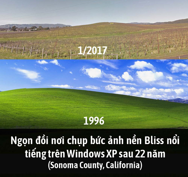 Summary of interesting facts you may not know yet! images 6