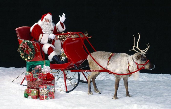 Picture 4 of Summary of the best news for the week of December 4