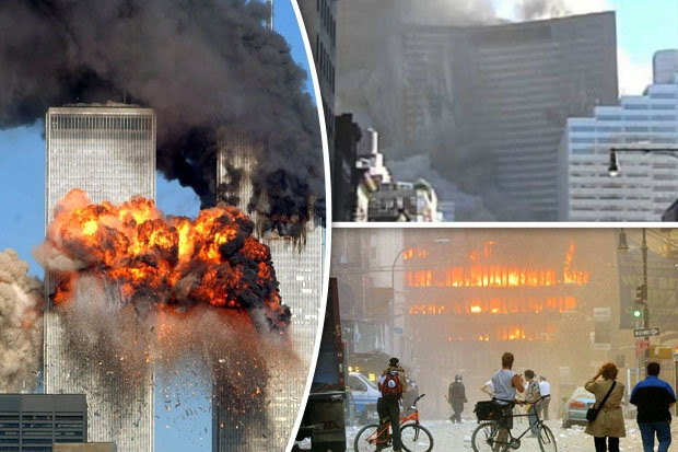 Picture 7 of Summary of the best news of November 5