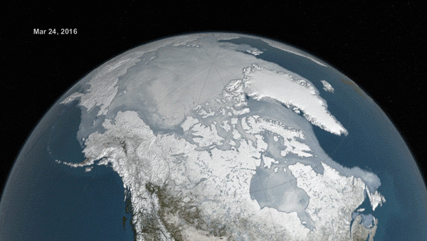 Picture 5 of Summary of UN special report on climate change: The Arctic as we know it is gone, believe your eyes