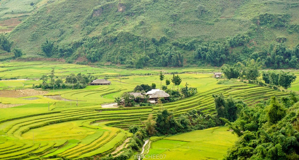 Picture 11 of Summer day on the mountainous region of Mu Cang Chai